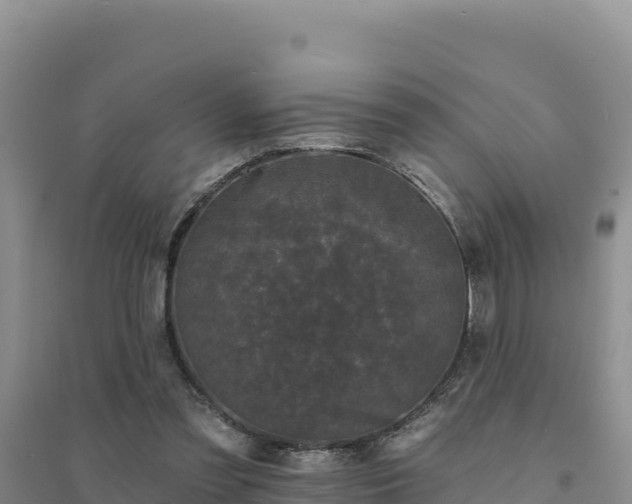 X0000094350301200711091458