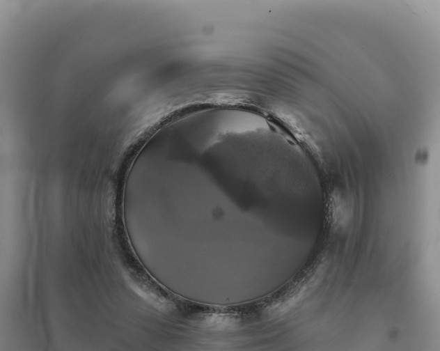 X0000094350303200711091458