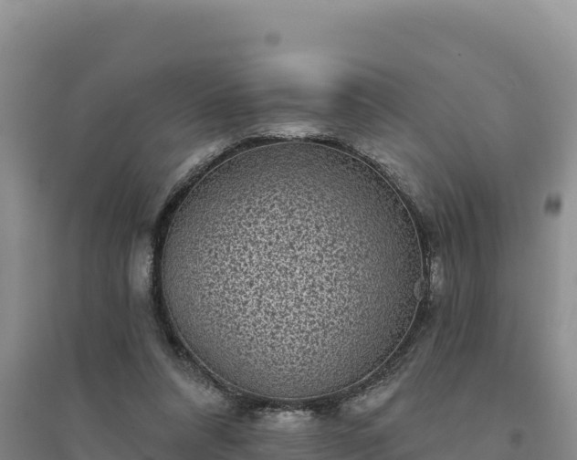 X0000094350304200711091458