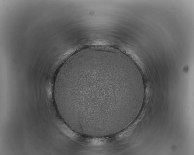 X0000094350305200711091458