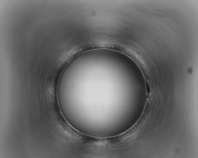 X0000094350306200711091458