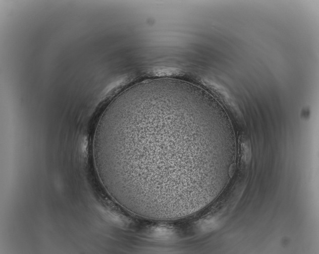 X0000094350308200711091458