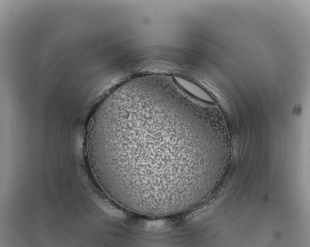 X0000094350309200711091458