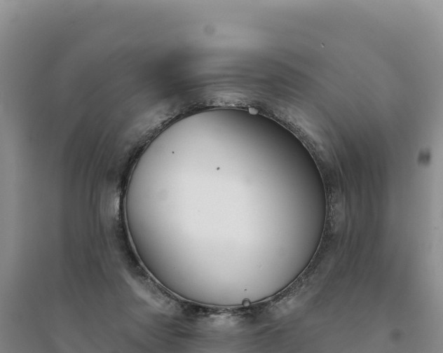 X0000094350310200711091458