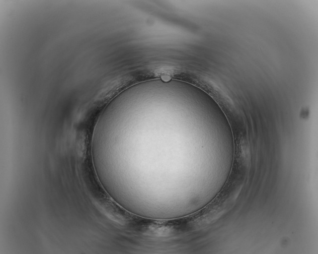 X0000094350311200711091458