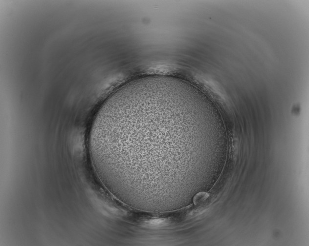 X0000094350312200711091458