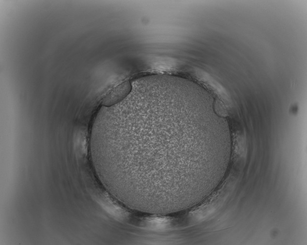 X0000094350313200711091458