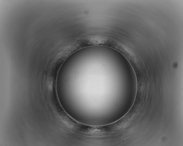 X0000094350315200711091458