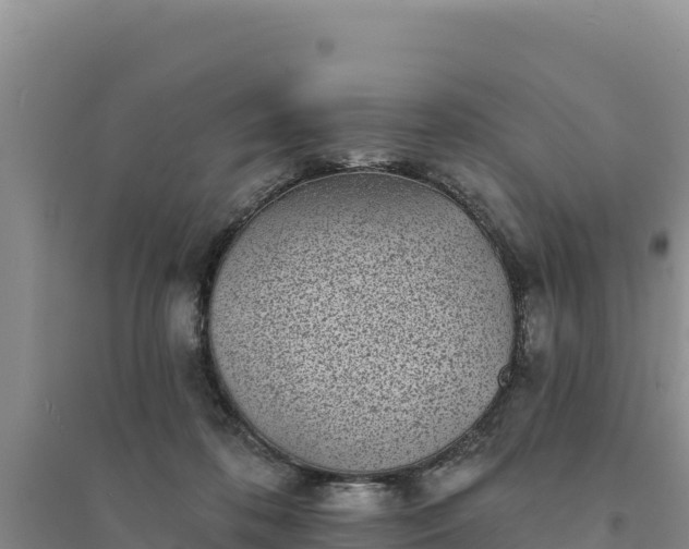 X0000094350316200711091458