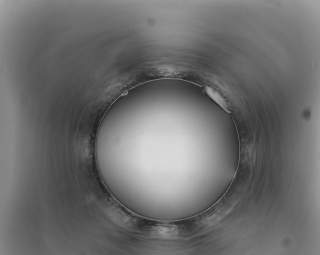 X0000094350317200711091458