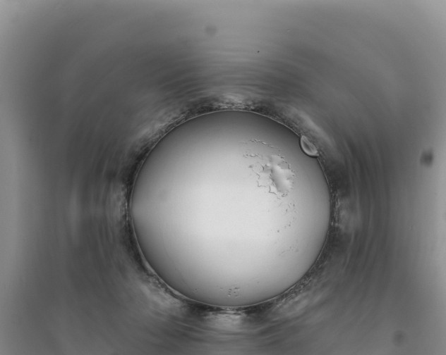 X0000094350318200711091458