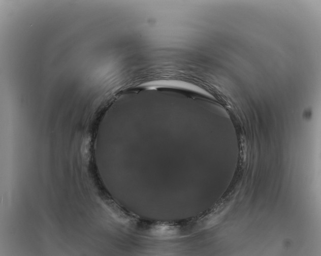 X0000094350319200711091458