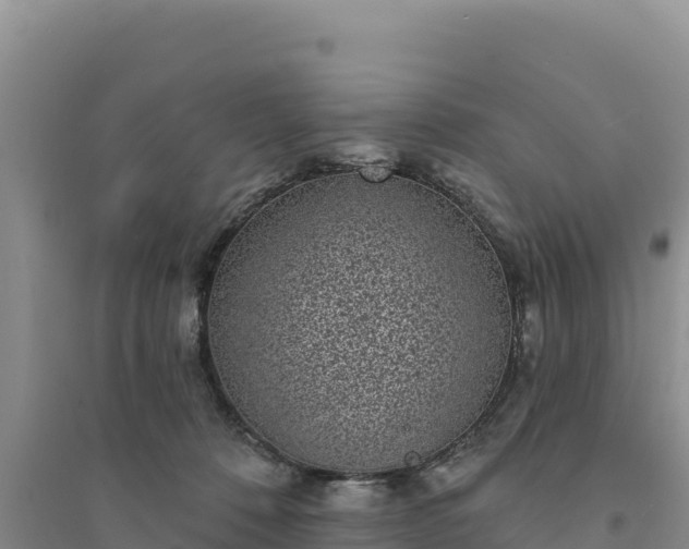 X0000094350320200711091458