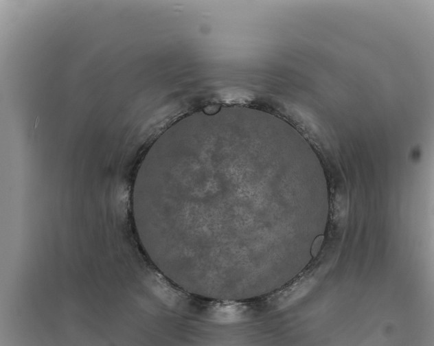 X0000094350321200711091458