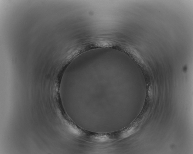 X0000094350322200711091458