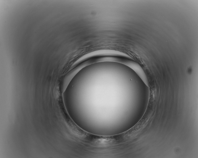 X0000094350323200711091458