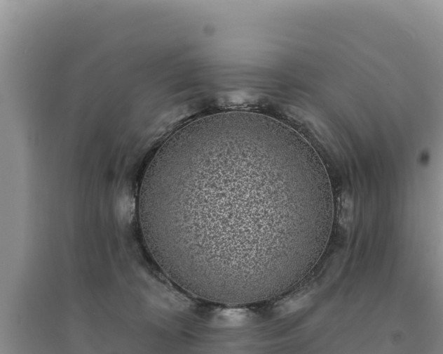 X0000094350324200711091458