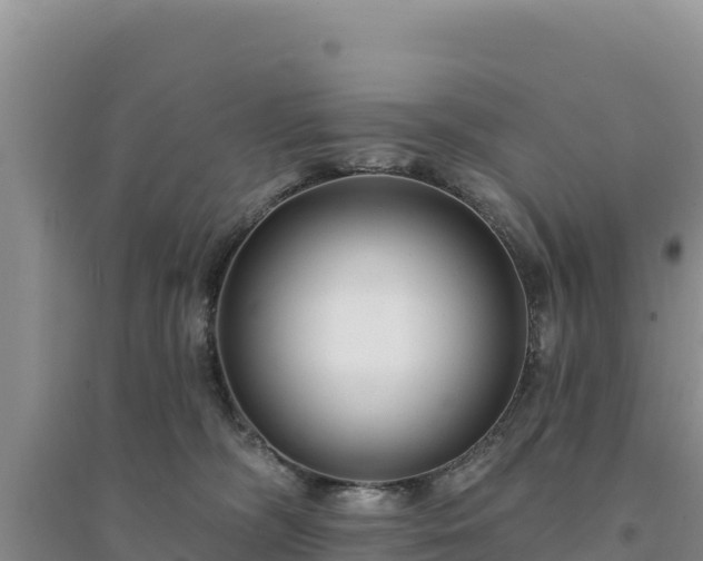 X0000094350326200711091458