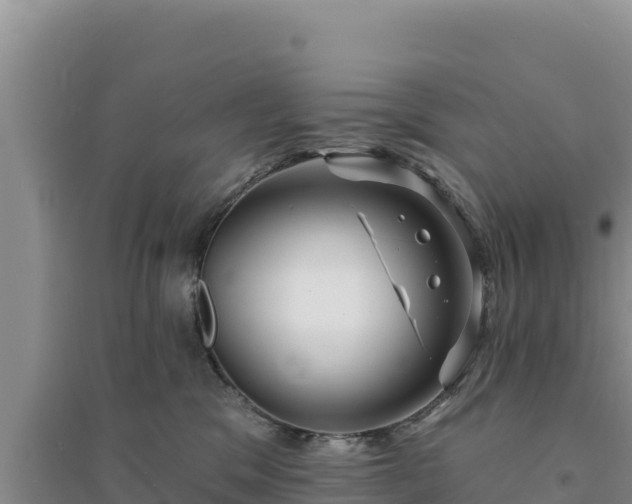 X0000094350329200711091458