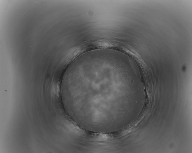 X0000094350330200711091458