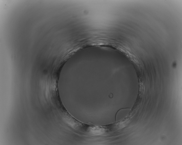 X0000094350331200711091458