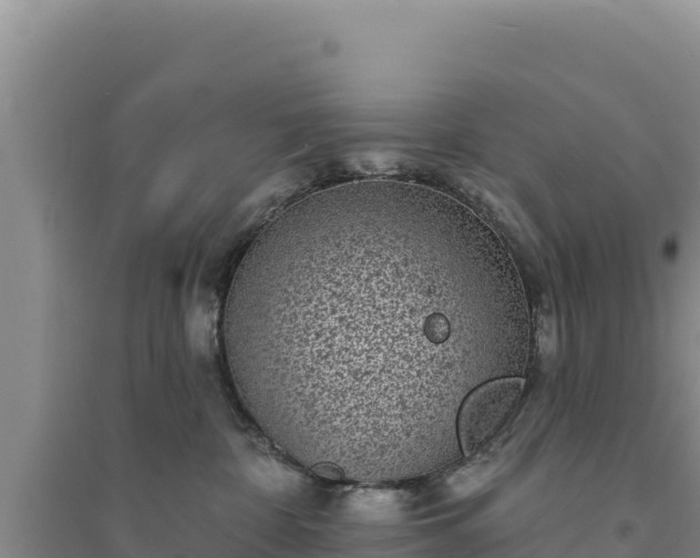 X0000094350332200711091458