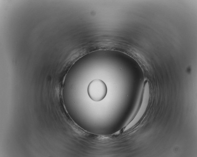 X0000094350333200711091458