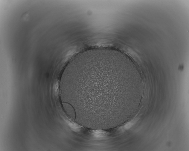 X0000094350336200711091458