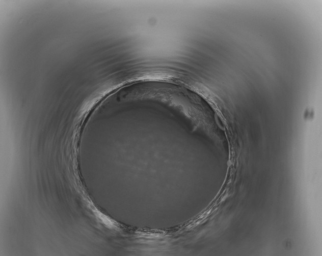 X0000094350337200711091457