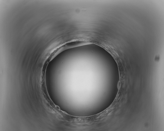 X0000094350338200711091457