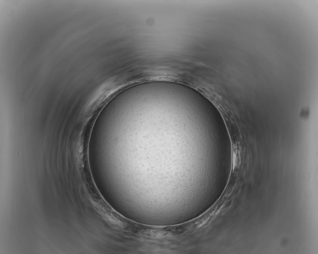 X0000094350339200711091457