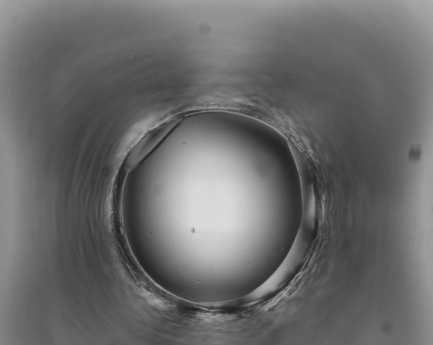 X0000094350340200711091457