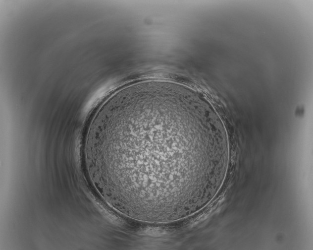 X0000094350341200711091457