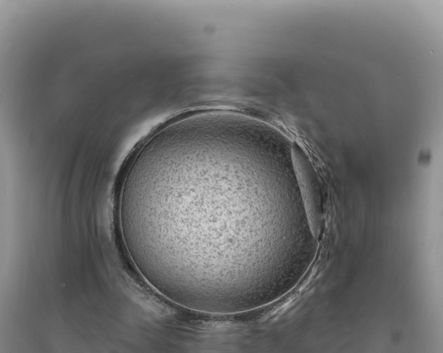 X0000094350342200711091457