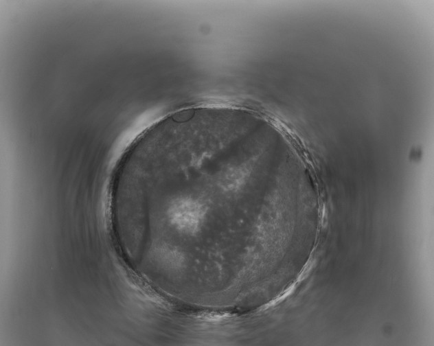 X0000094350343200711091457