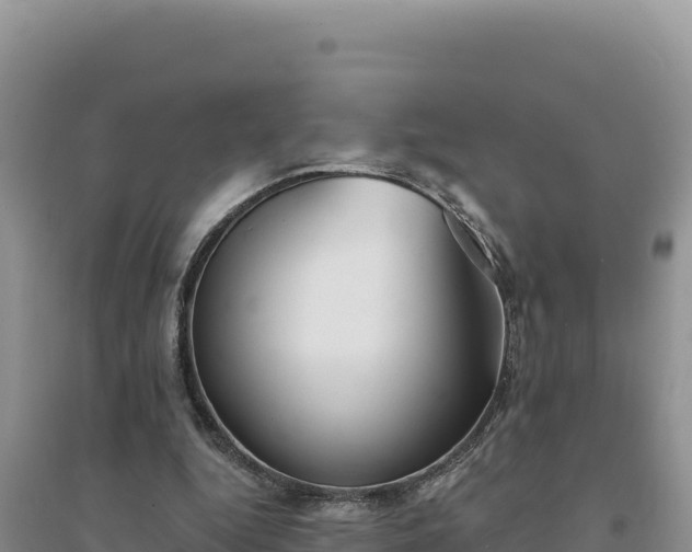 X0000094350344200711091457