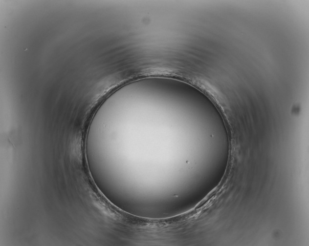 X0000094350345200711091457