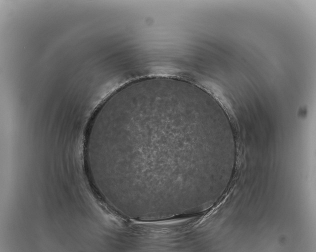 X0000094350346200711091457