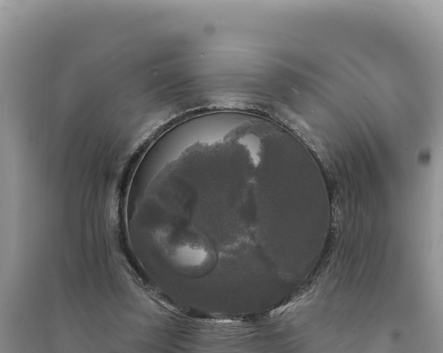 X0000094350347200711091457