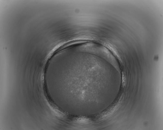 X0000094350348200711091457