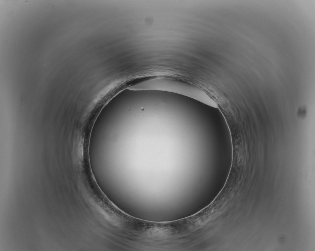 X0000094350350200711091457