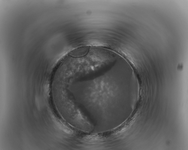 X0000094350351200711091457