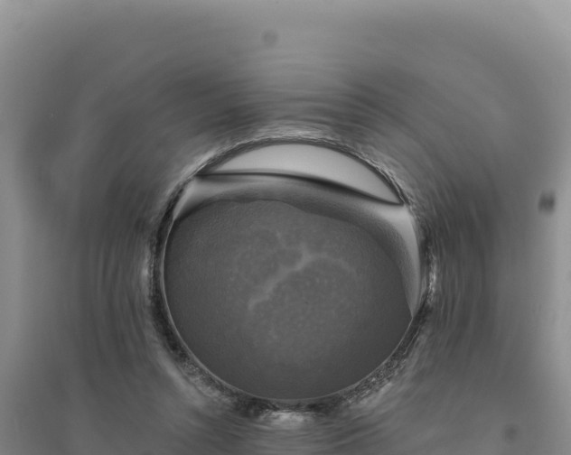 X0000094350352200711091457