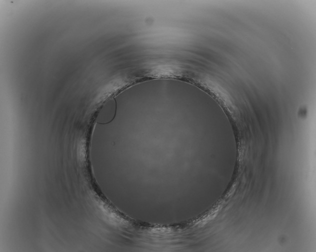 X0000094350353200711091457