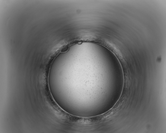 X0000094350354200711091457