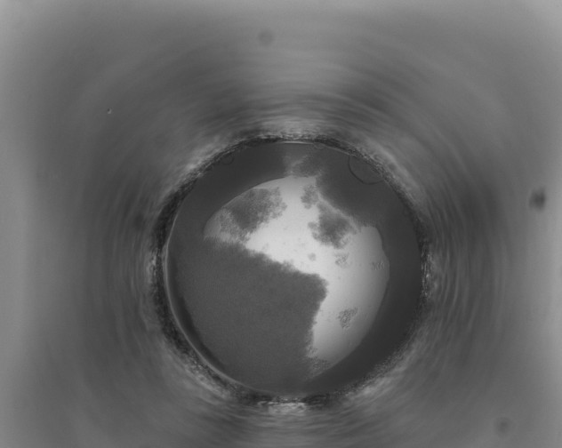 X0000094350355200711091458