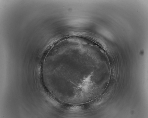 X0000094350357200711091458