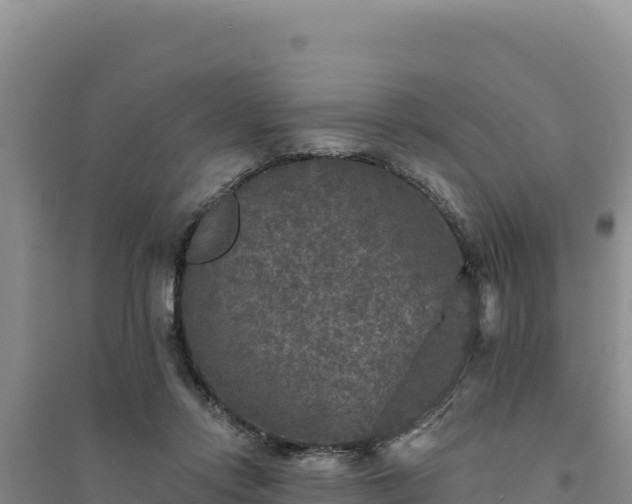 X0000094350358200711091458