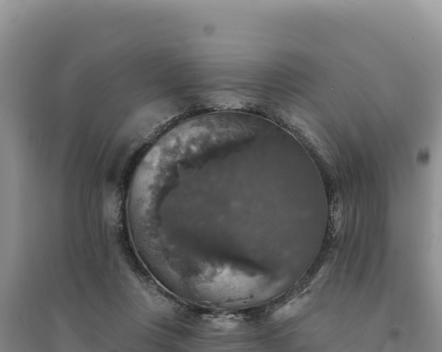 X0000094350359200711091458