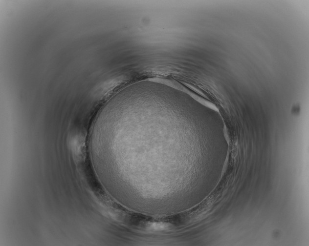 X0000094350360200711091458